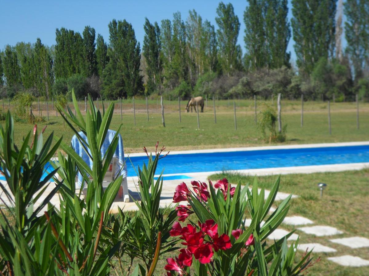 Casa De Campo Las Olivas San Rafael  Exterior foto